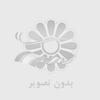 حفاظ دیوار شاخ گوزنی: امنیت و زیبایی برای هر دیواری